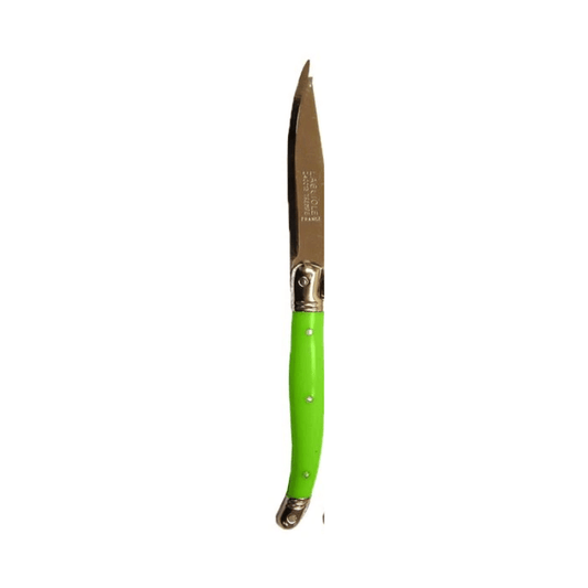 Andre Verdier Laguiole Fruit Knife Green The Homestore Auckland